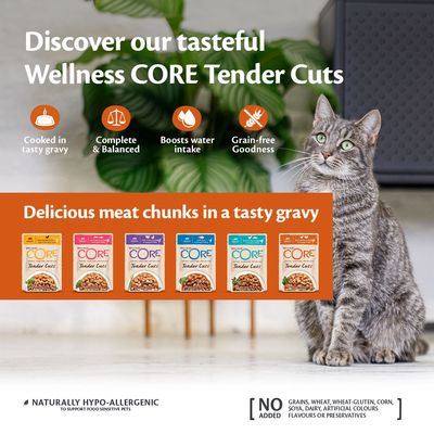 Wellness Core Tender Cuts våtfôr til voksne katter