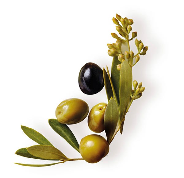 Originální léčebné prostředky Mythical Olive | 300 ml