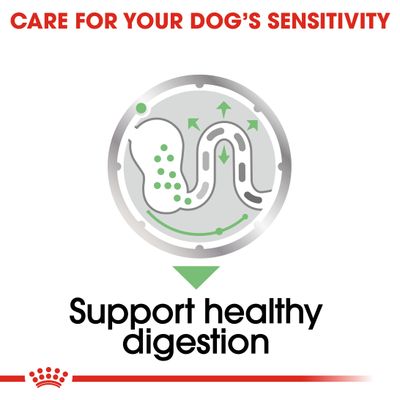 Pan Royal Canin Digestive Care