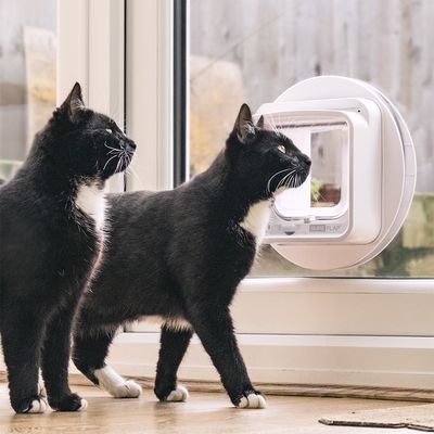 SureFlap mikrochip katteluke Connect
