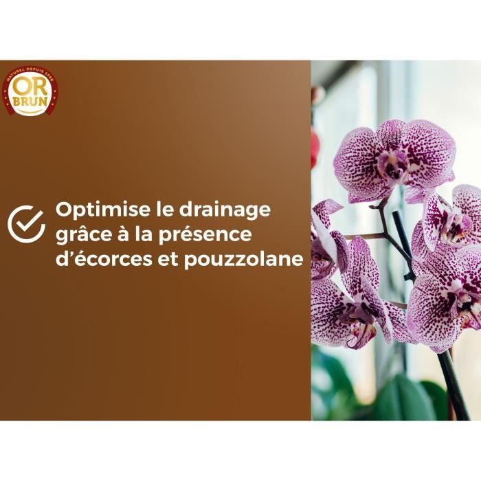 Substrato para orquídeas - OR BRUN - OBRTORC6U - 6L - Promove o crescimento