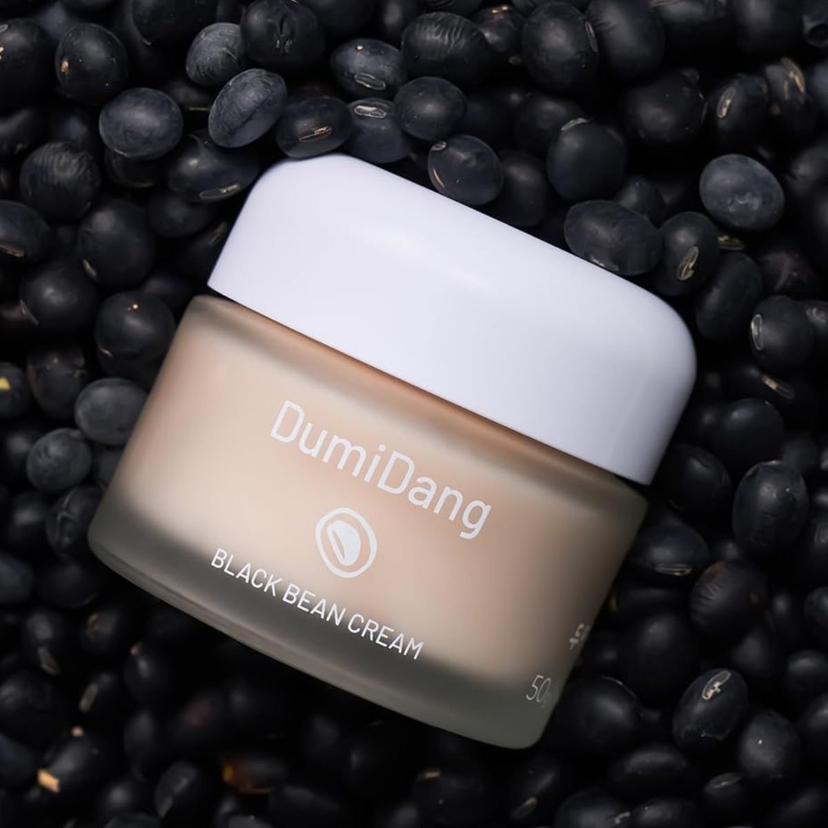 Frijoles negros DumiDang
