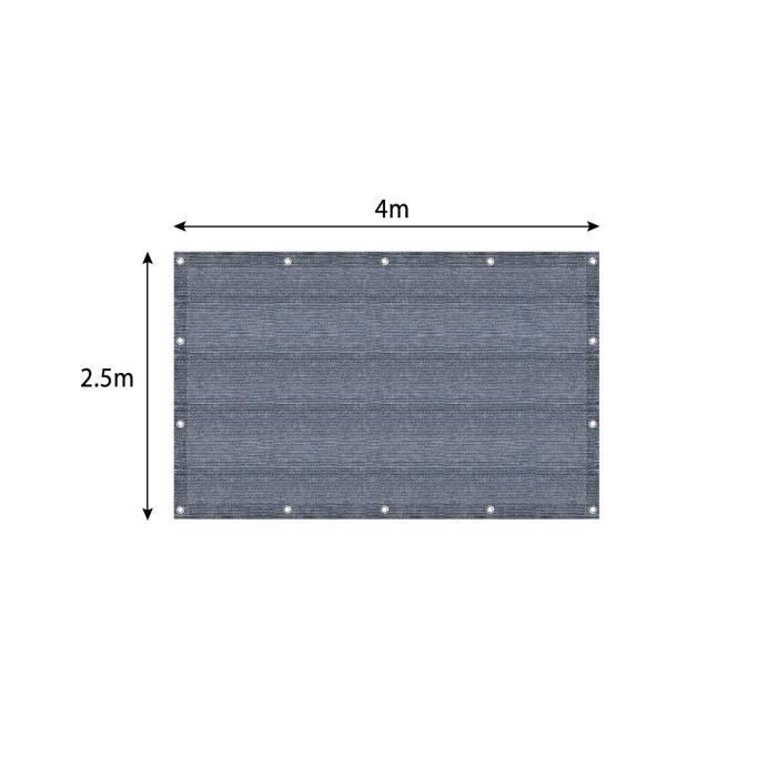 XMTECH Tapis de Camping, 250x400cm Tapis de sol pour caravane, camping-car, Bâches de Sol avec Clous moulus et sac de transport