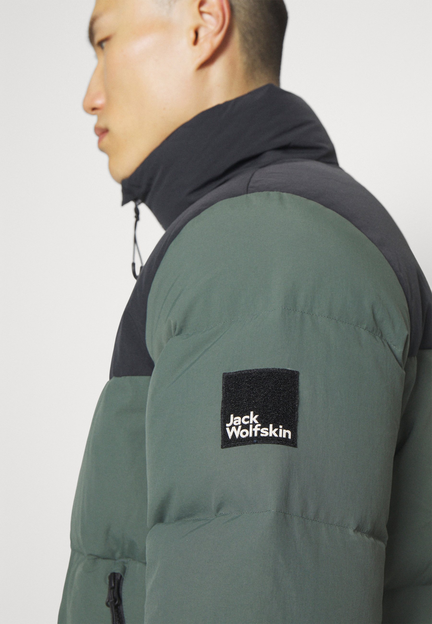 Jack Wolfskin DELLBRUECK - Donsjack - leigroen