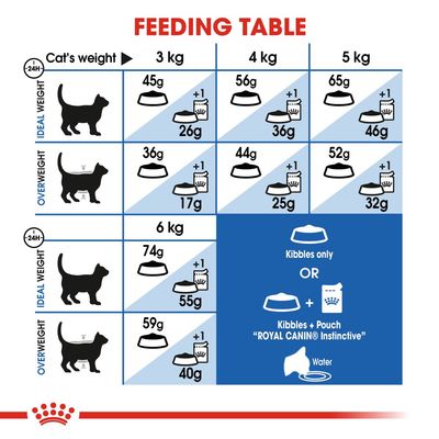Royal Canin beltéri kutyatáp