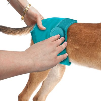 Vaskbar bleie til hund fra Simple Solution - Tispe