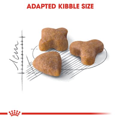 Royal Canin Sensible