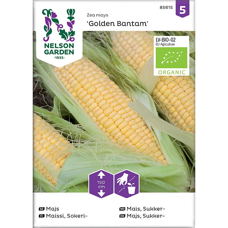 Nelson Garden Seeds -makean maissin, kultaisen bantamin