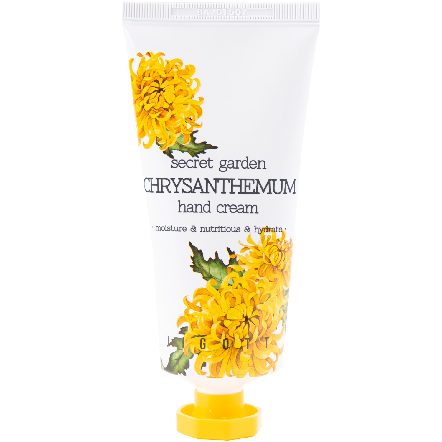 Chrysanthèmes Jigott