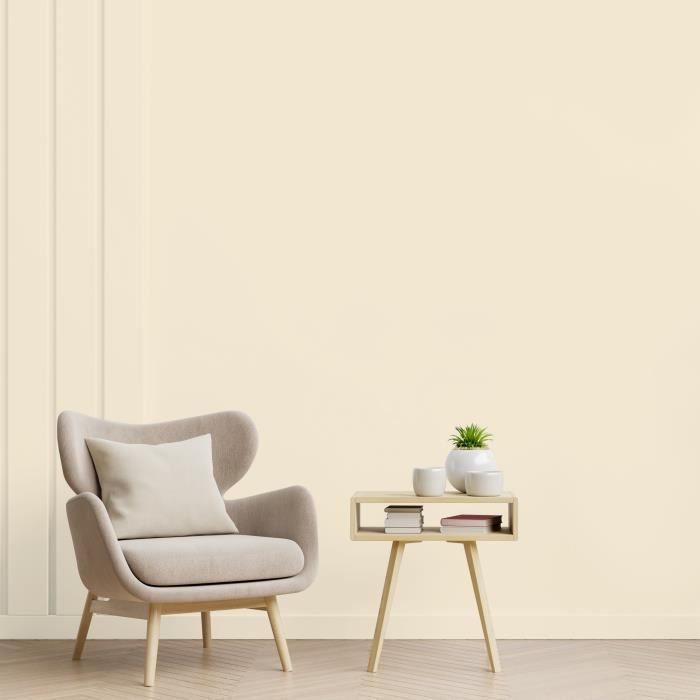 Paint - RIPOLIN - ESPRIT DECO MULTI-SURFPORTS - Agate Beige - Satin Finish - 2.5L
