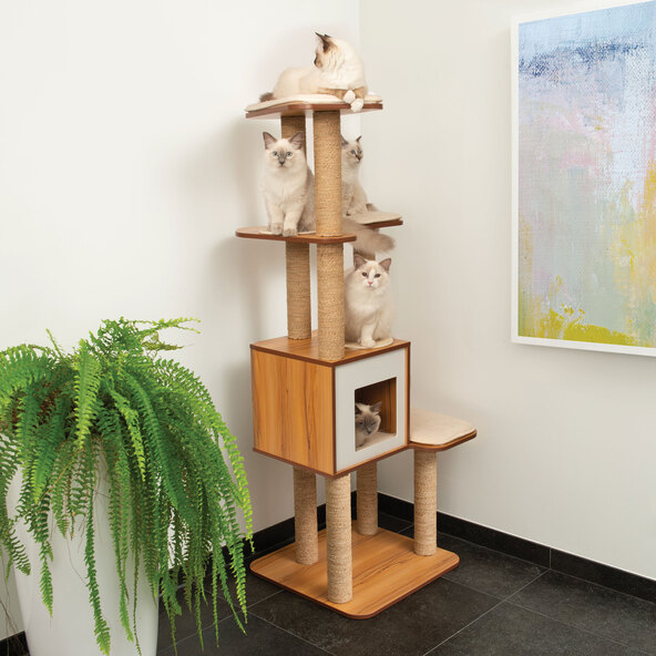 Base alta Kratzbaum XL