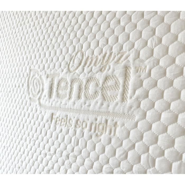 VEGE FLY ergonomisch kussen van traagschuim - OEKO-TEX gecertificeerde Tencel-hoes - CosyPUR®-technologie