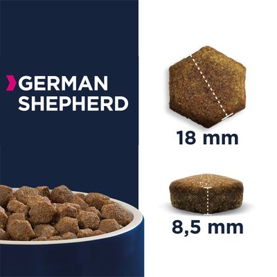 Berger allemand Eukanuba adulte