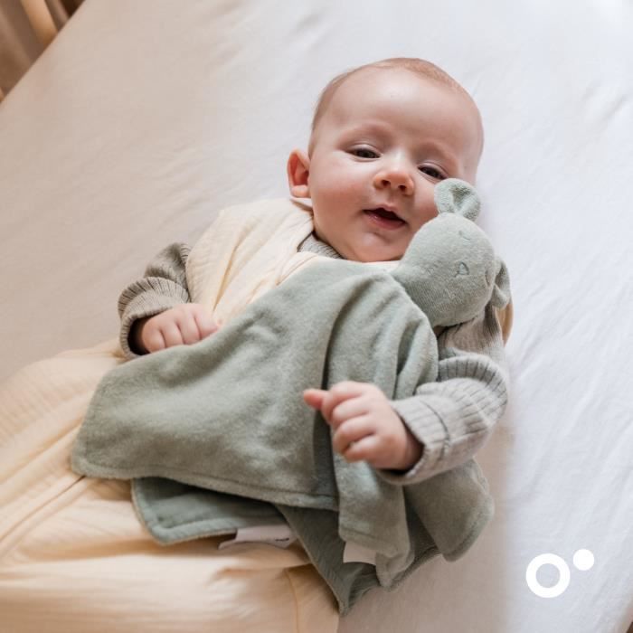 doomoo You&Me Baby Comforter - Reversible and Soothing Comforter - Comes with 2 Bodies to Carry the Parent's Scent, Green