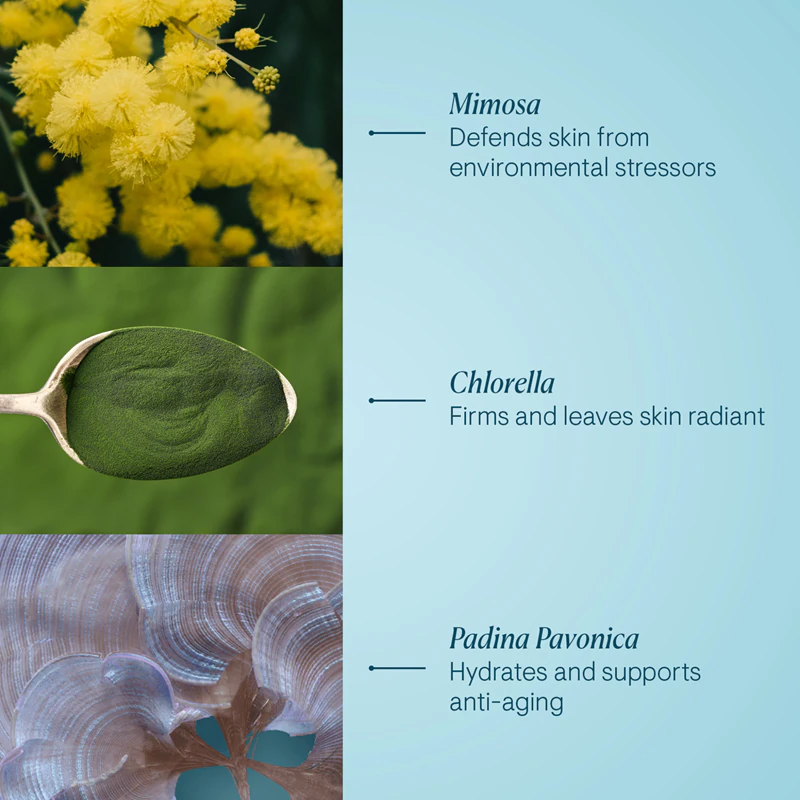 Elemis Pro-Collagen Marine Cream anti-rimpel dagcrème