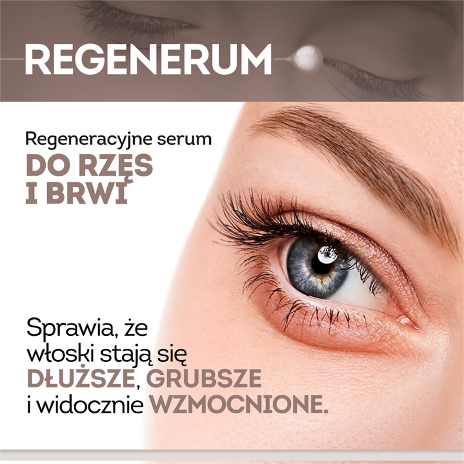 Regenerum eyelash serum 11ml