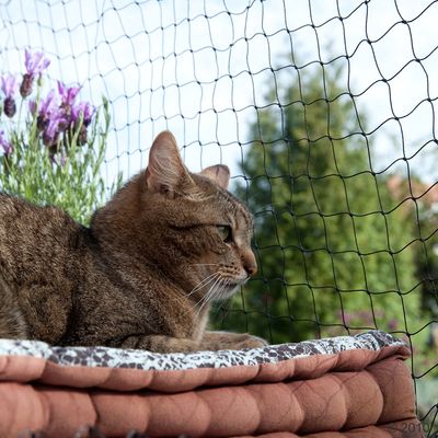 Katzenschutznetz - Rolle