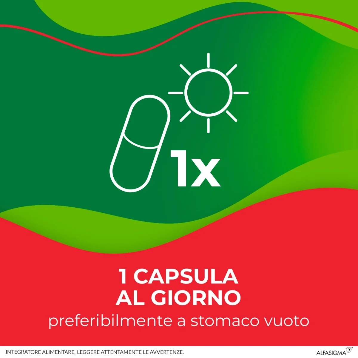 ENTEROLACTIS Enterolactis Plus 15 cápsulas Fermentos lácticos