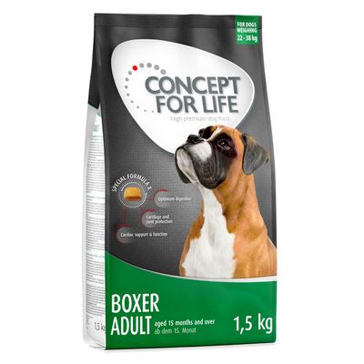Concepto para la vida Boxer Adulto