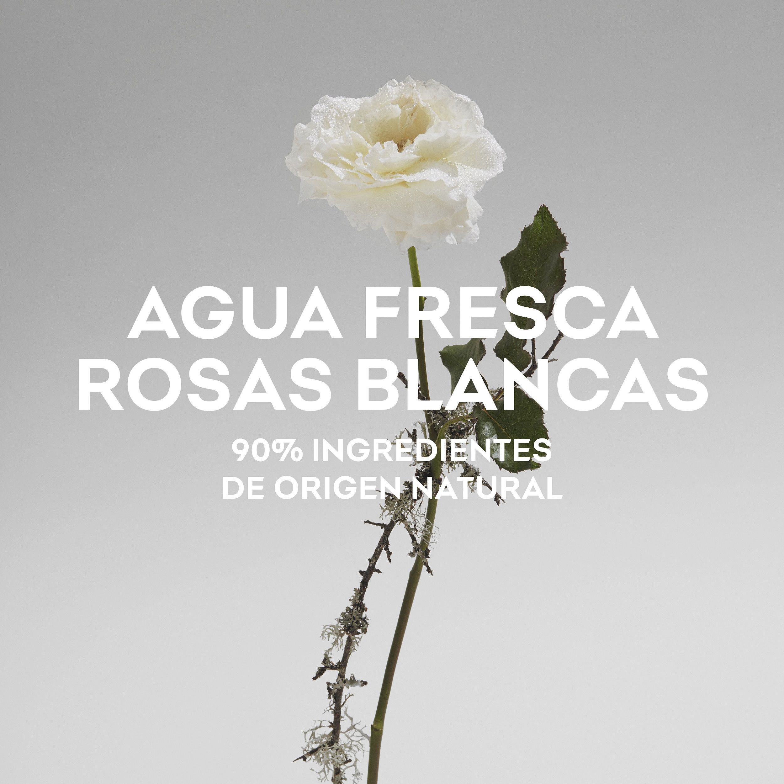 Agua Fresca de Rosas Blancas EDT Ženski parfumi