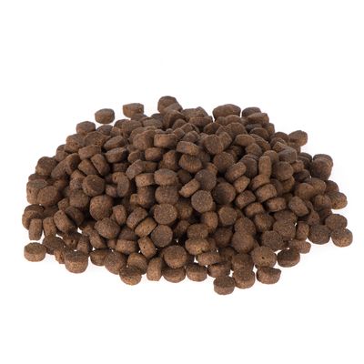 Briantos Junior