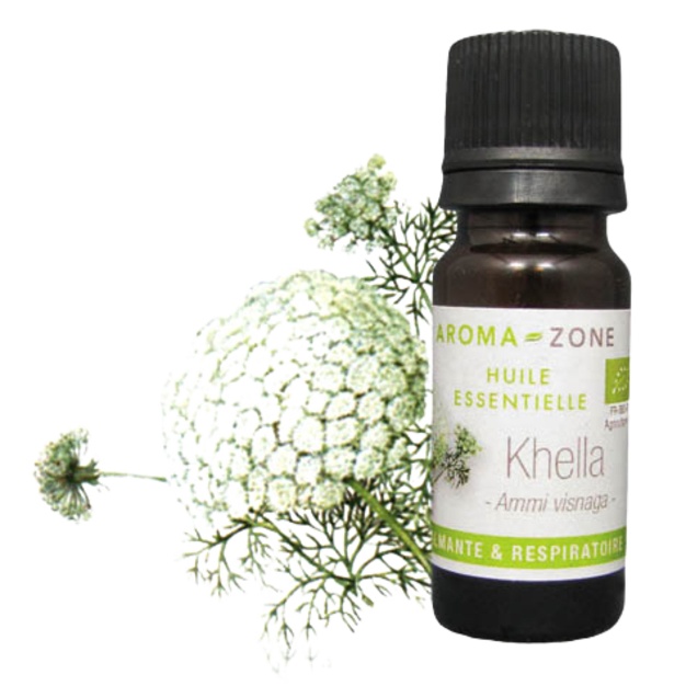 Biologische Khella etherische olie