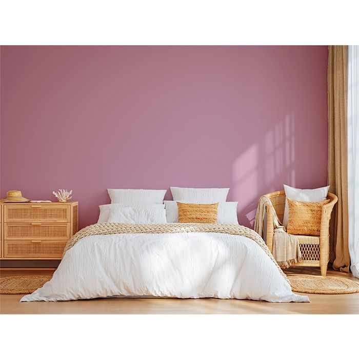 PEINTURE Teinte Rose Dragée naturelle écologique intérieur extérieur aspect velours Natura - 2.5L - 33m