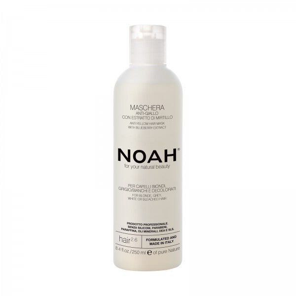Noa 2.6