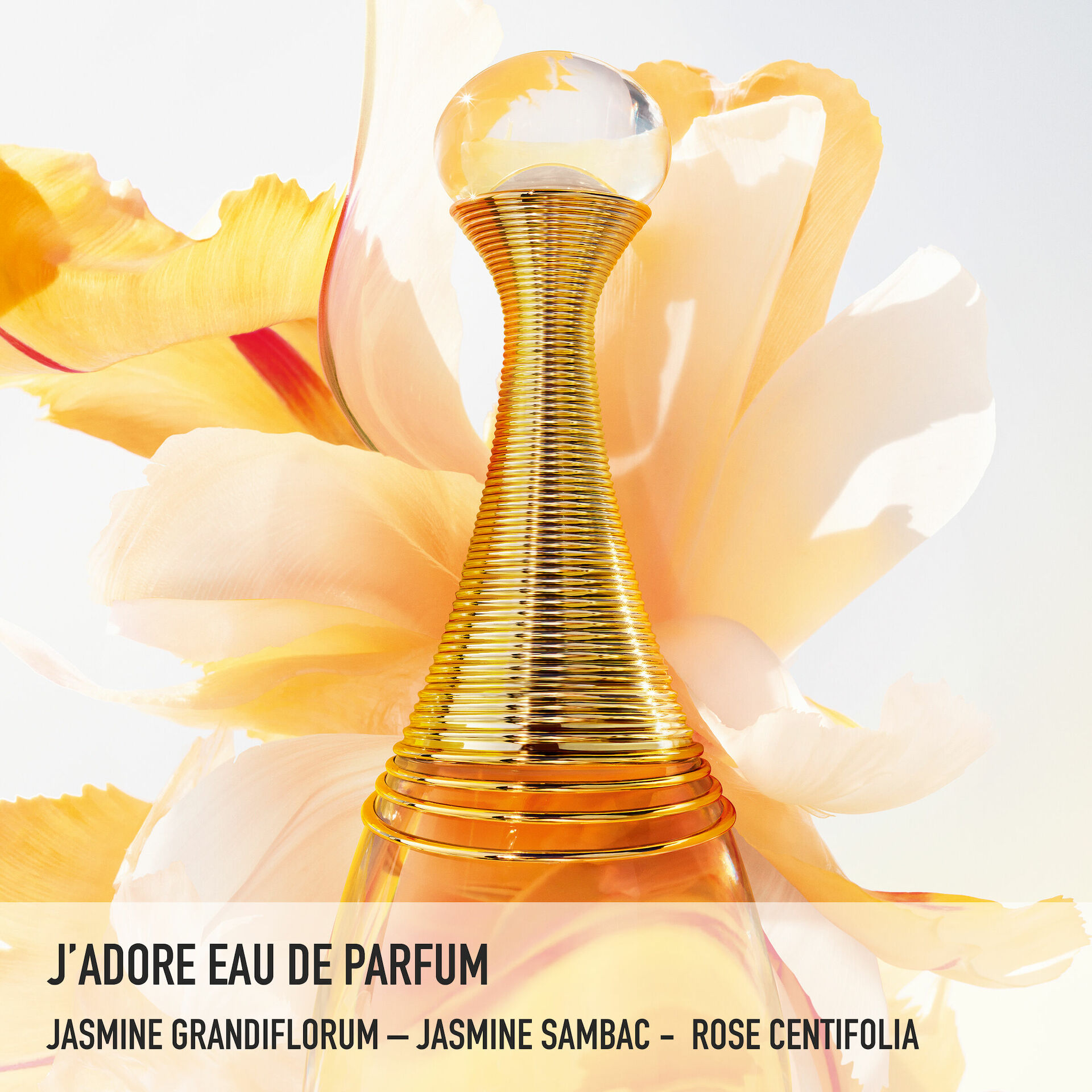 J'adore EdP 100 ml - DIOR