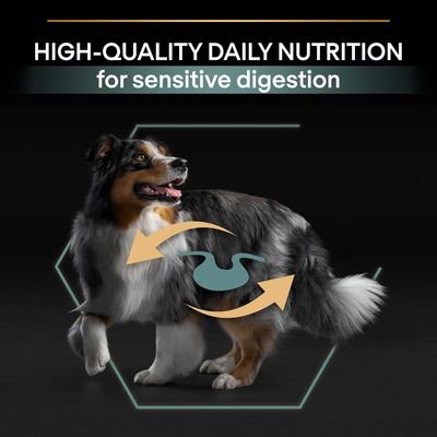 PURINA PRO PLAN Medium Adult Miel și Orez Sensitive Digestion