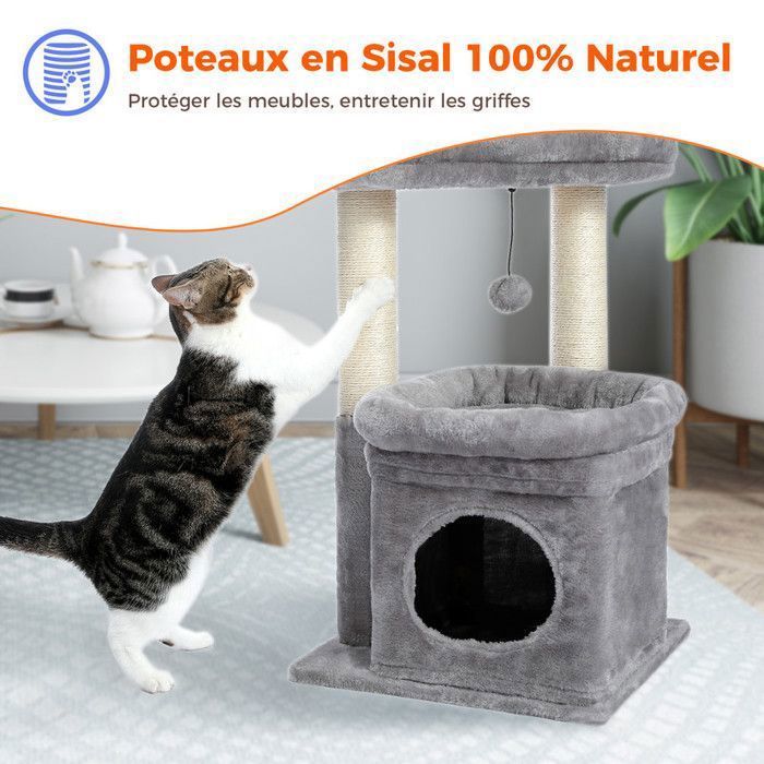 PAWZ Road Petit Arbre à Chat 60 cm, Tour de Jeux avec 2 Poteaux à Griffer Robuste, 1 Condo Spacieux & 1 Grand Perchoir, Gris