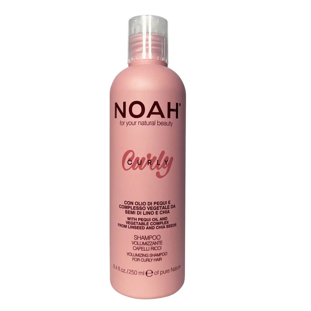 Noah Curly