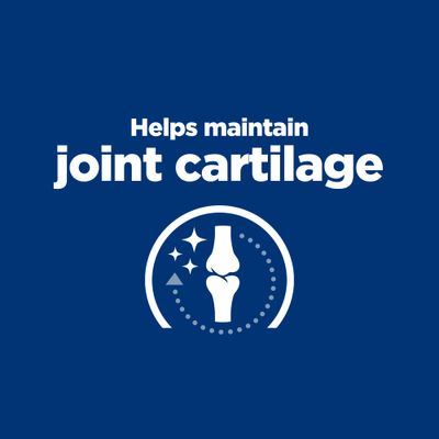 Hill's Prescription Diet Canine j/d Mobility - Κοτόπουλο