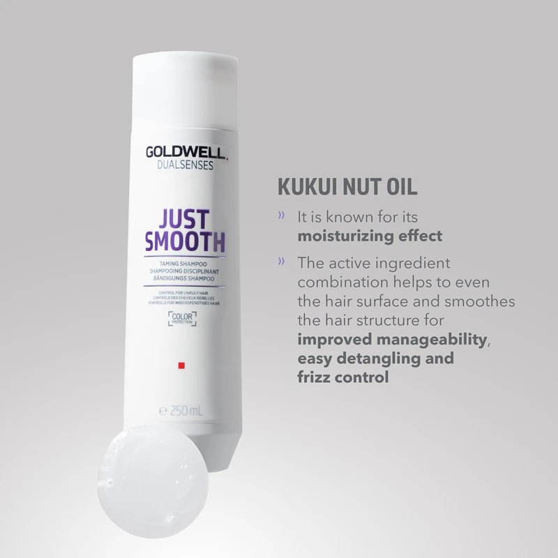Goldwell Dualsenses Just Smooth uhladzujúci šampón pre ťažko upraviteľné vlasy
