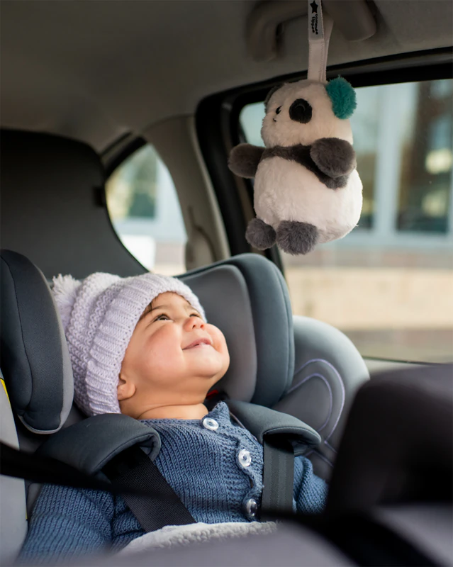 Tommee Tippee Grofriend Pip de Panda Hangspeeltje met Melody-contrast