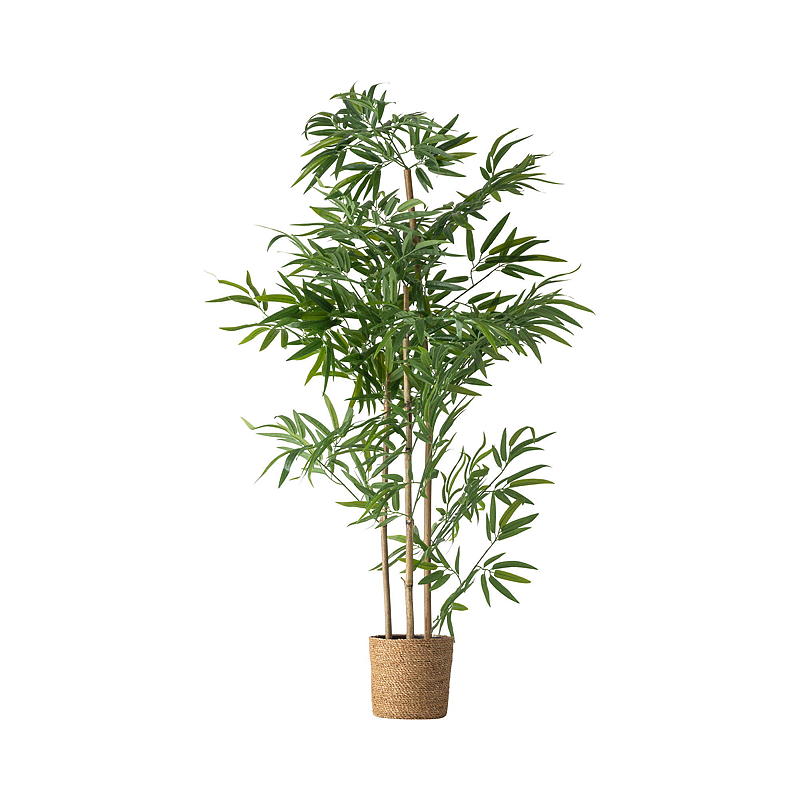 Bambuträd 123 cm