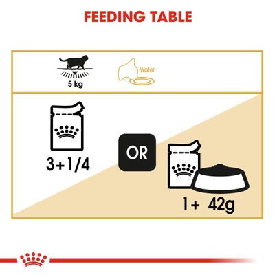Royal Canin British Shorthair Adulte en sauce