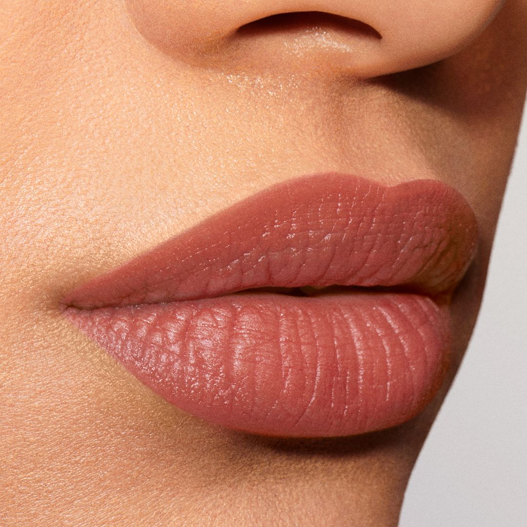 Pure Color Explicit Silk Matte lūpu krāsa Luksusa lūpu krāsas