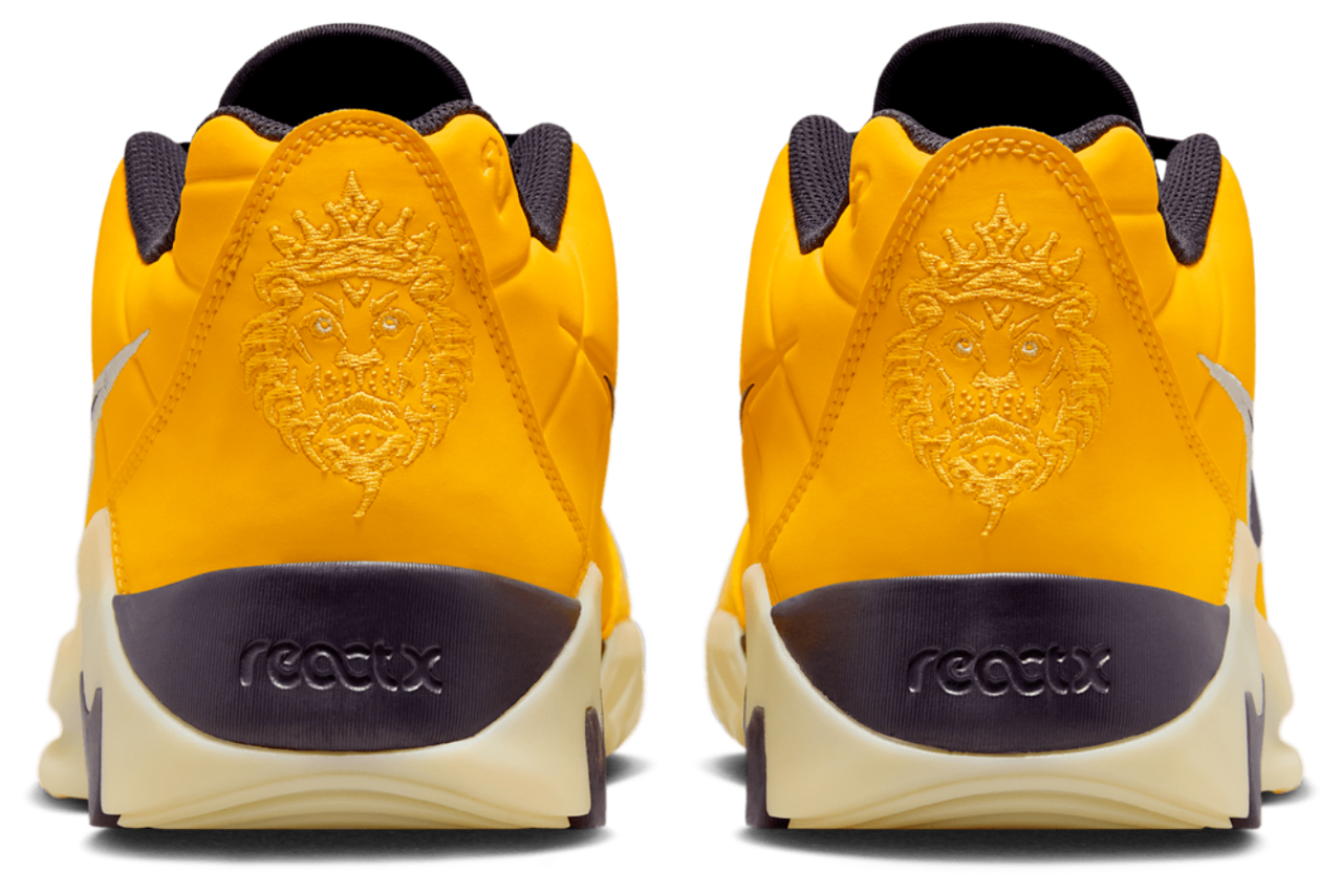 Nike Lebron Witness 9
