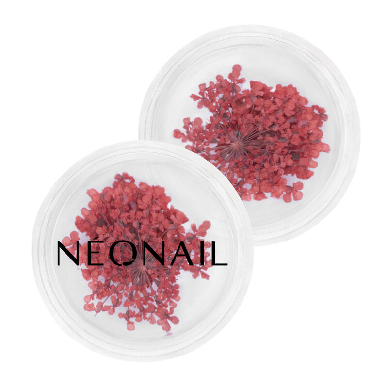 Neonail