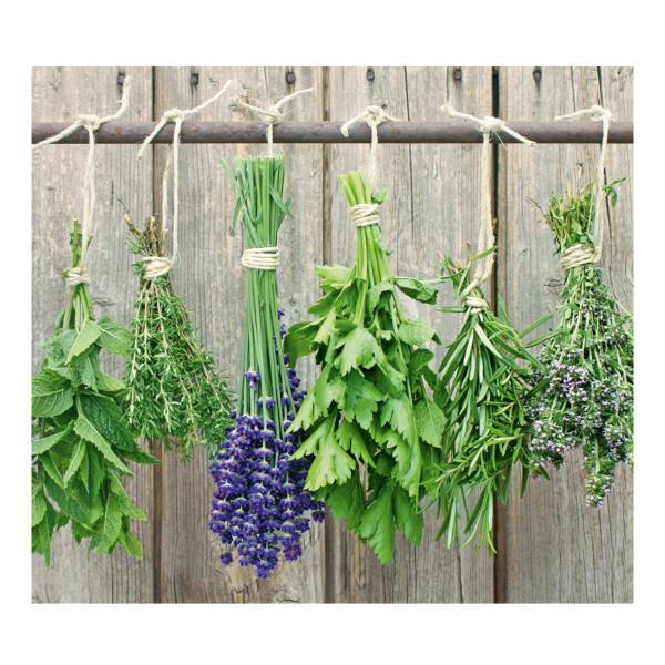 Szklana płyta ochronna LAWENDA na kuchenkę – duża, ZELLER