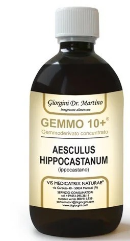 Dr. Giorgini Liq Anal Gemmo mit Rosskastanie 10+ für die Venenfunktion
