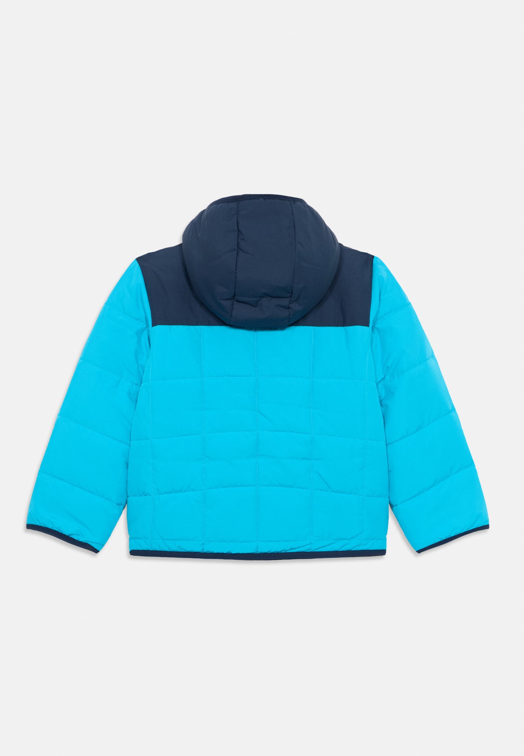 The North Face REVERSIBLE SHASTA HOODED UNISEX - Kurtka polarowa - meridian blue/summit navy