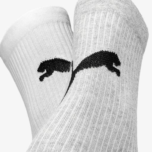 Puma Cat