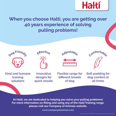Halti Front Control Træningssele