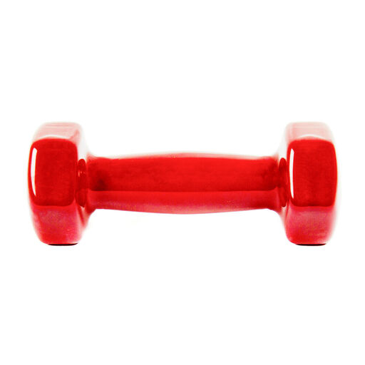 2x Mancuernas Pesas De 1kg Agarre Vinilo Suave Ejercicio Gimnasia Musculacion