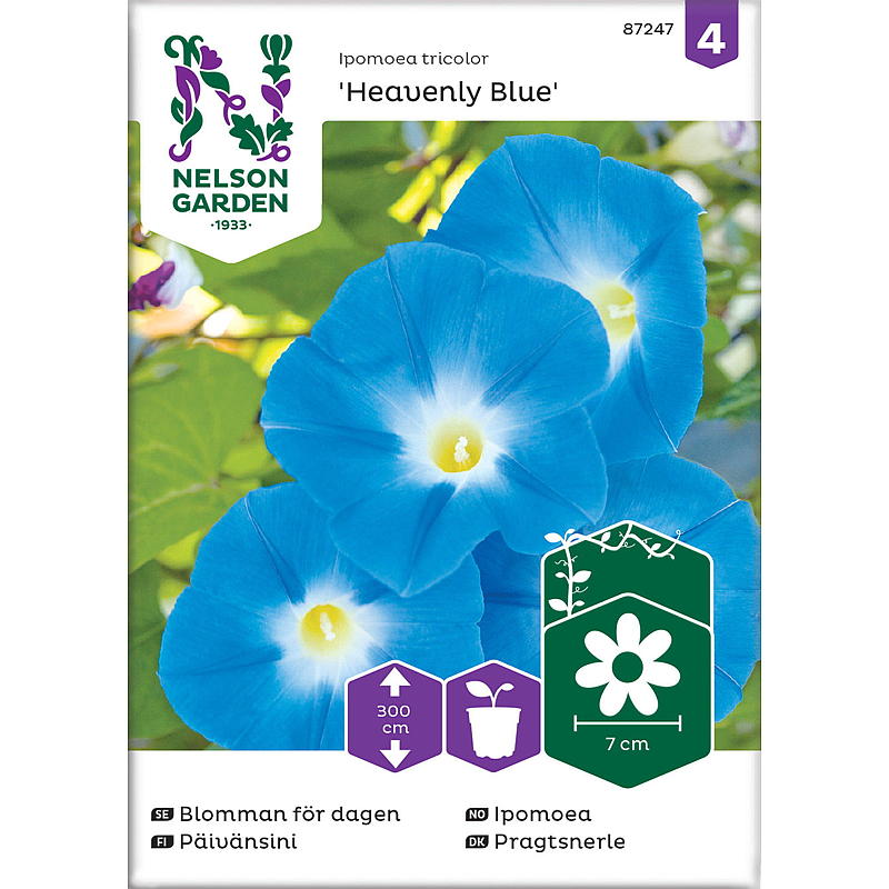 Nelson Gartensamen Ipomoea Himmelblau