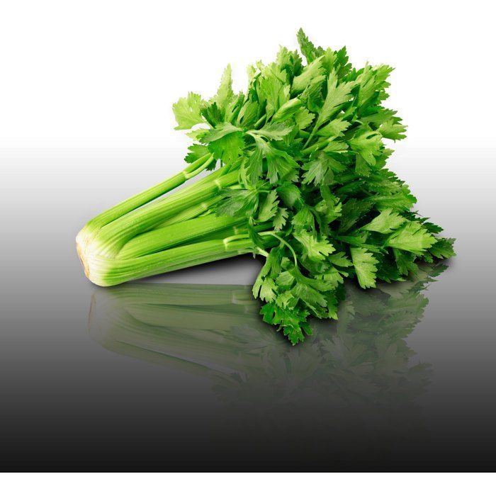 100 semillas aromáticas de apio para cortar (Apium graveolens) - Ideal para adelgazar