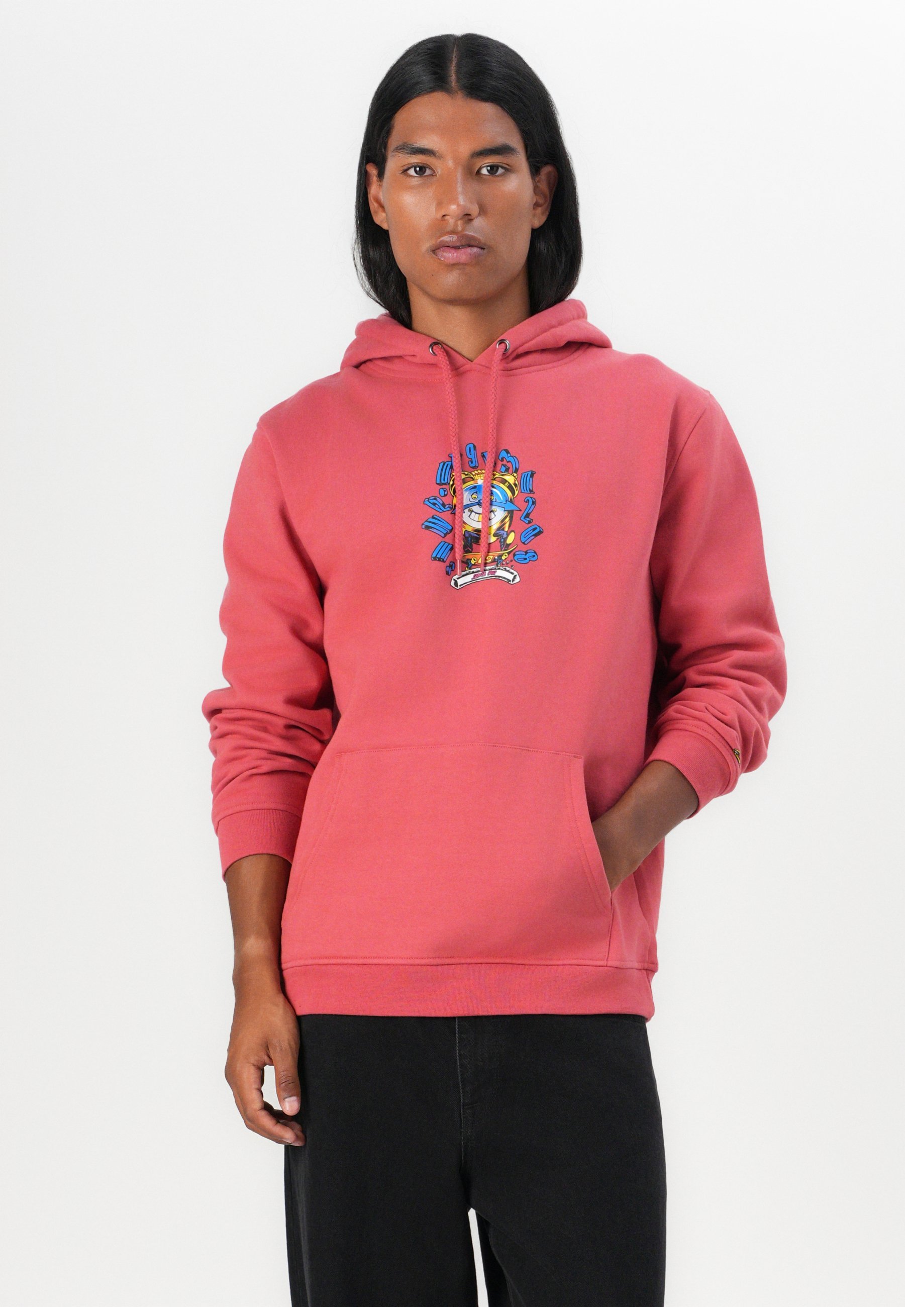 Santa Cruz GRABKE UNISEX - Felpa - polvere astro