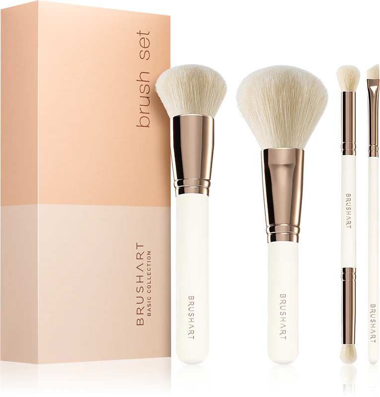 Conjunto de pincéis básicos BrushArt